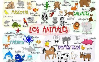 Nombres de animales